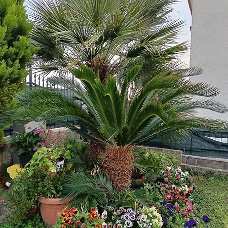 Bed And Breakfast Angolo Fiorito Civitavecchia Exterior photo