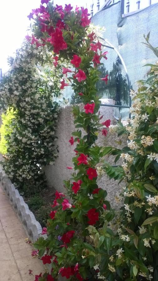 Bed And Breakfast Angolo Fiorito Civitavecchia Exterior photo