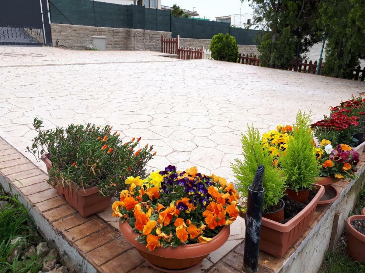 Bed And Breakfast Angolo Fiorito Civitavecchia Exterior photo